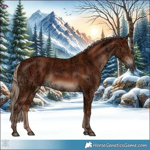 Horse Color:Chestnut Ice Rabicano 