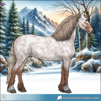 Horse Color:Red Ice Roan Rabicano 