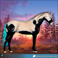 Horse Color:Silver Classic Champagne Splash