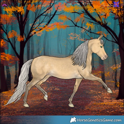 Horse Color:Silver Sable Cream Champagne Dun 