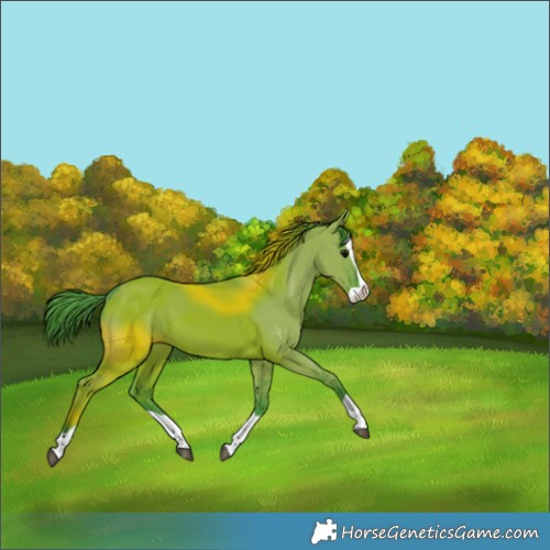 Horse Color:Watercolor Grullo Splash 