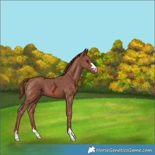 Horse Color:Chestnut Ice 