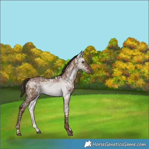 Horse Color:Liver Red Dun Ice 