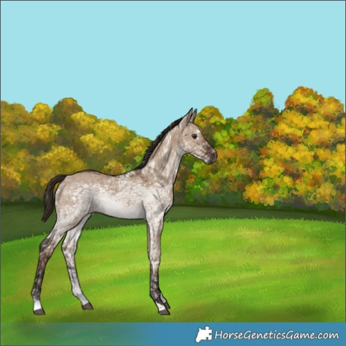 Horse Color:Liver Red Dun Ice 