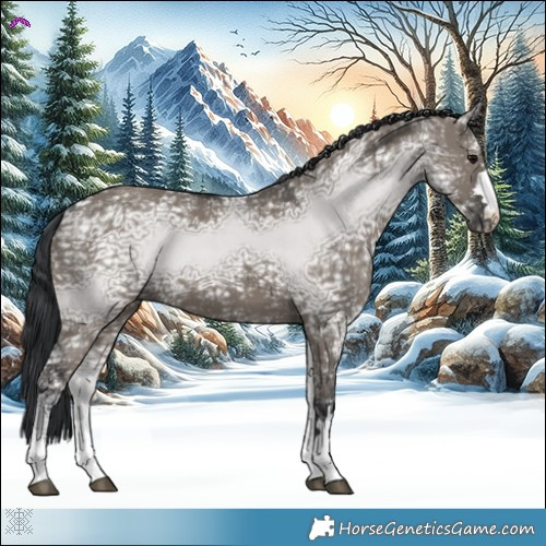 Horse Color:Grullo Ice 