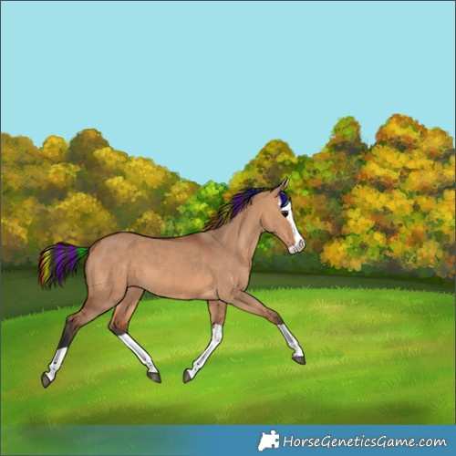 Horse Color:Painted Bay Dun Splash 
