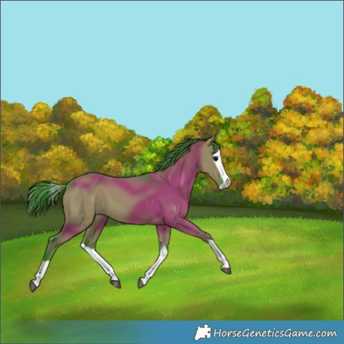 Horse Color:Watercolor Grullo Splash 
