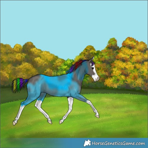 Horse Color:Painted Grullo Splash 