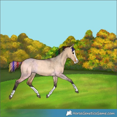 Horse Color:Painted Bay Dun Splash 