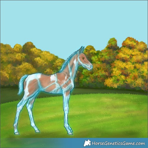 Horse Color:Thunderstruck Silver Sable Champagne Tobiano 