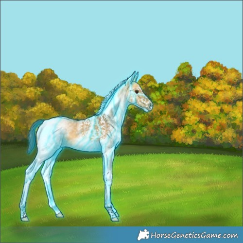 Horse Color:Thunderstruck White Spotted Buckskin Dun Tobiano 