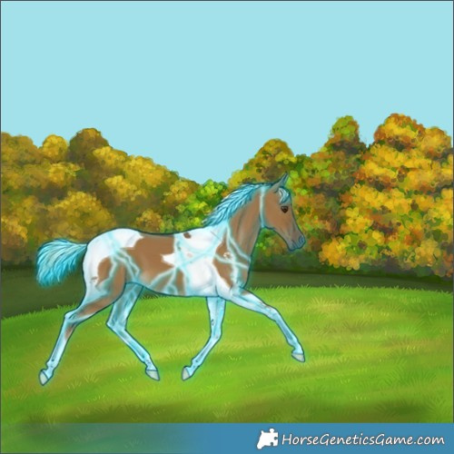 Horse Color:Thunderstruck Chocolate Palomino Dun Tobiano 