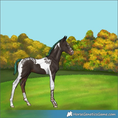 Horse Color:Painted Liver Chestnut Tobiano 