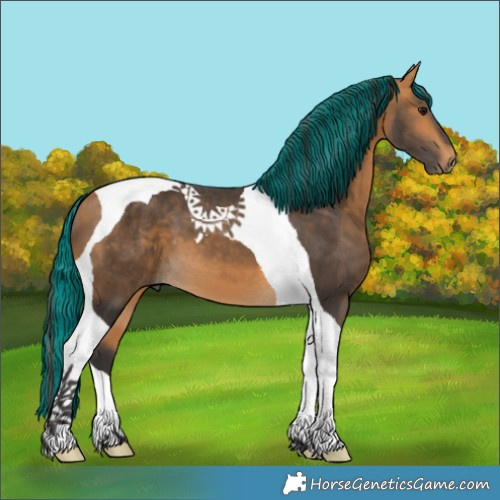 Horse Color:Painted Buckskin Tobiano 
