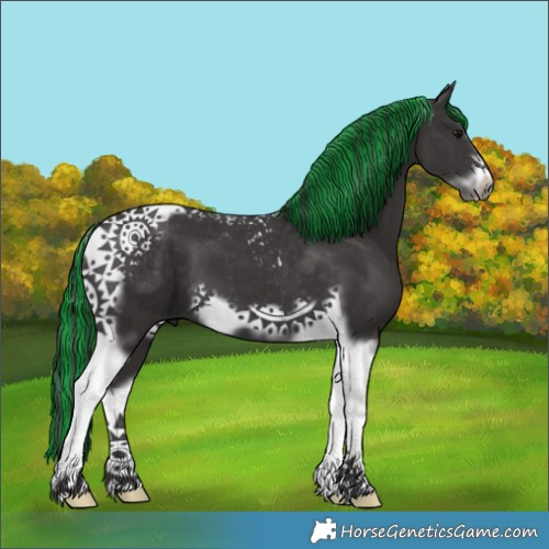 Horse Color:Painted Smoky Black Tobiano Frame 