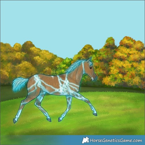 Horse Color:Thunderstruck Chocolate Palomino Dun Tobiano 
