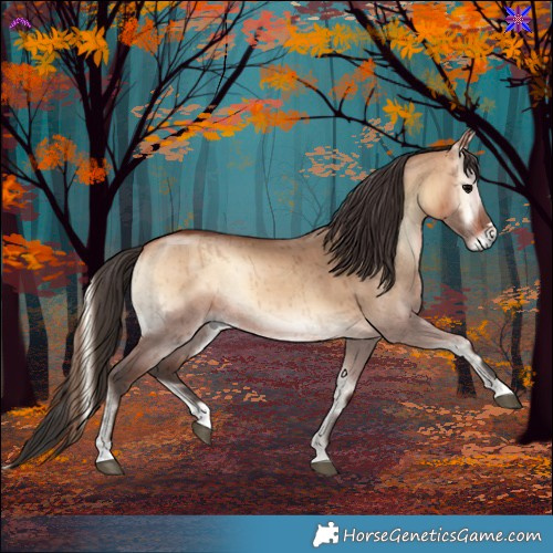 Horse Color:Bay Onyx Rabicano Brindle 