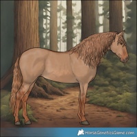 Horse Color:Red Dun 
