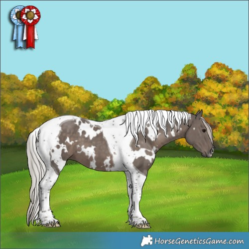 Horse Color:White Spotted Silver Black Tobiano 