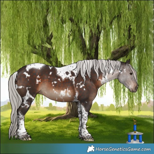 Horse Color:White Spotted Silver Brown Tobiano 