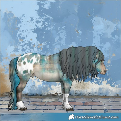Horse Color:Plaid  Brown Dun Sabino Tobiano Appaloosa 