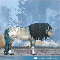 Horse Color:Plaid Brown Dun Sabino Tobiano Appaloosa