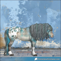 Horse Color:Plaid Brown Dun Sabino Tobiano Appaloosa