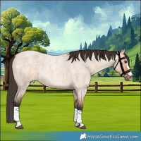 Horse Color:Bay Roan Dun 
