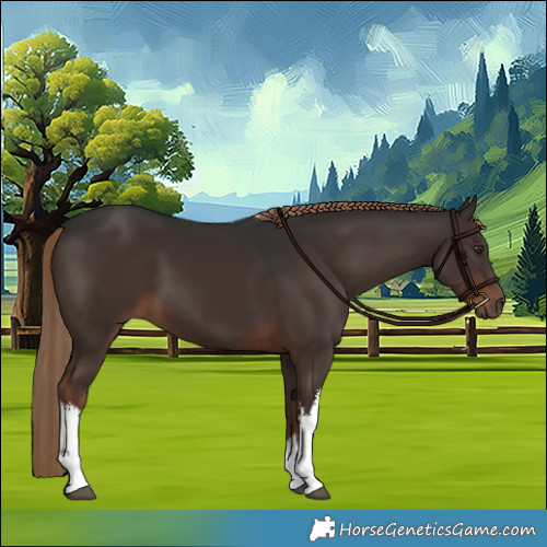 Horse Color:White Spotted Liver Chestnut 