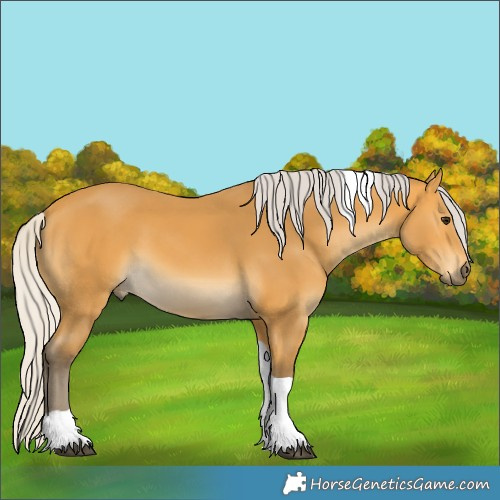 Horse Color:Silver Buckskin Tobiano 