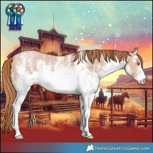 Horse Color:White Spotted Bay Pearl Sabino 