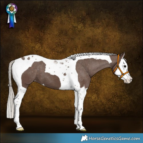 Horse Color:White Spotted Silver Black Splash Tobiano Varnish 