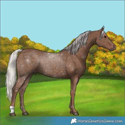 Horse Color:Silver Black 