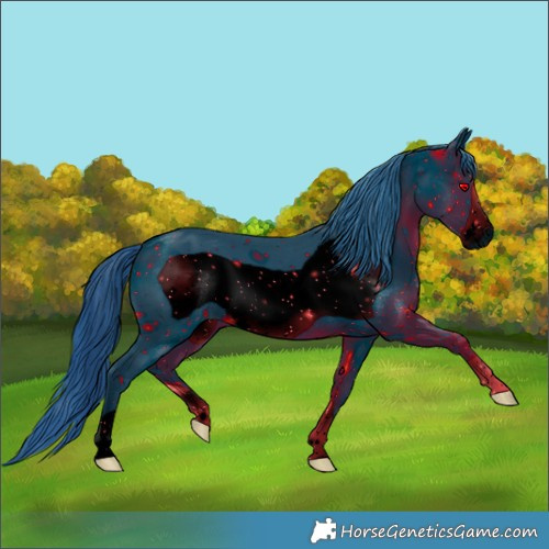 Horse Color:ERROR: UNKNOWN ANOMALY