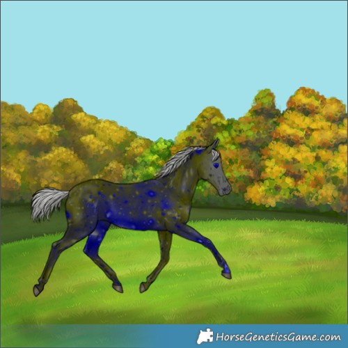 Horse Color:ERROR: UNKNOWN ANOMALY
