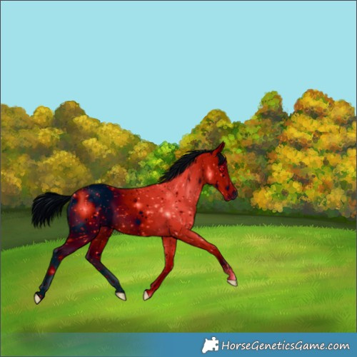 Horse Color:ERROR: UNKNOWN ANOMALY