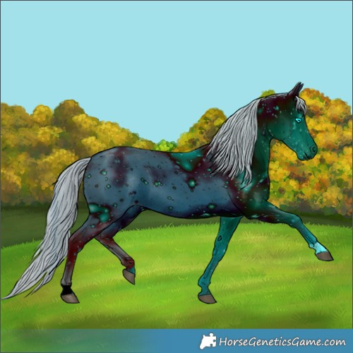 Horse Color:ERROR: UNKNOWN ANOMALY