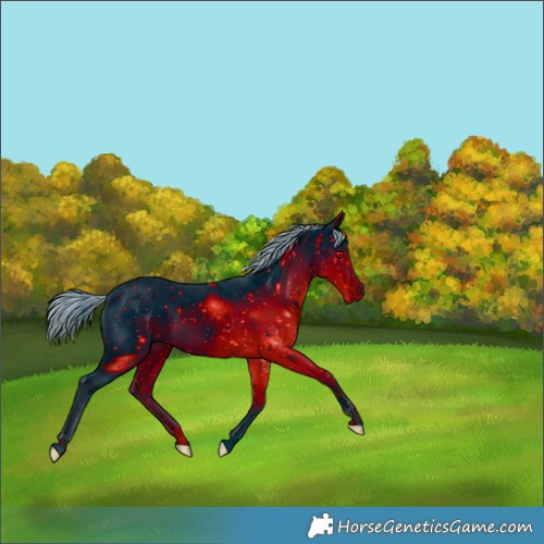 Horse Color:ERROR: UNKNOWN ANOMALY