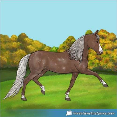 Horse Color:Silver Black 