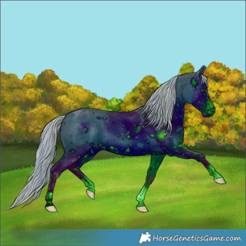 Horse Color:ERROR: UNKNOWN ANOMALY