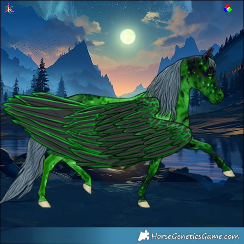 Horse Color:ERROR: UNKNOWN ANOMALY