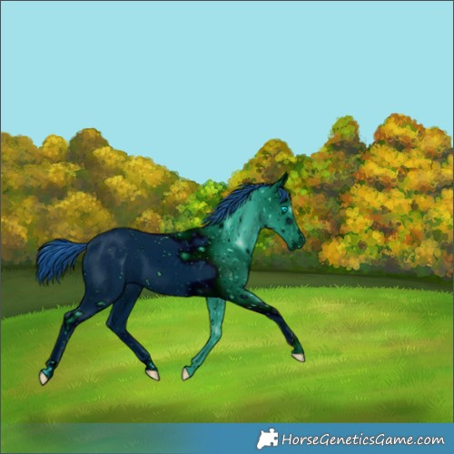 Horse Color:ERROR: UNKNOWN ANOMALY