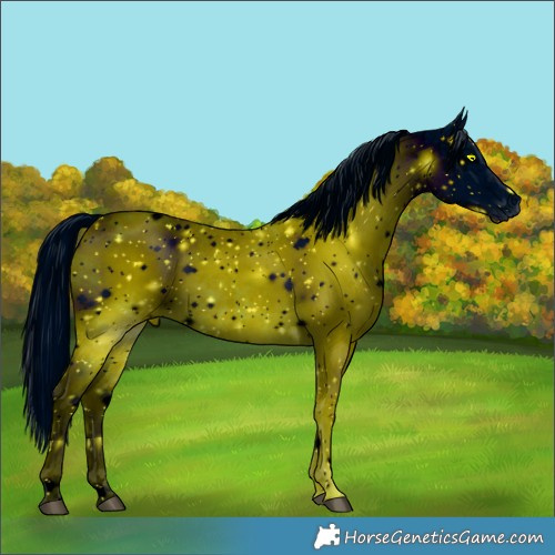 Horse Color:ERROR: UNKNOWN ANOMALY