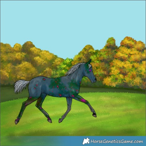 Horse Color:ERROR: UNKNOWN ANOMALY