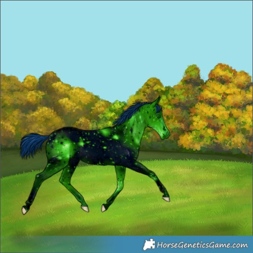 Horse Color:ERROR: UNKNOWN ANOMALY