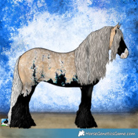 Horse Color:Silver Buckskin Ice Dun Sabino Splash 
