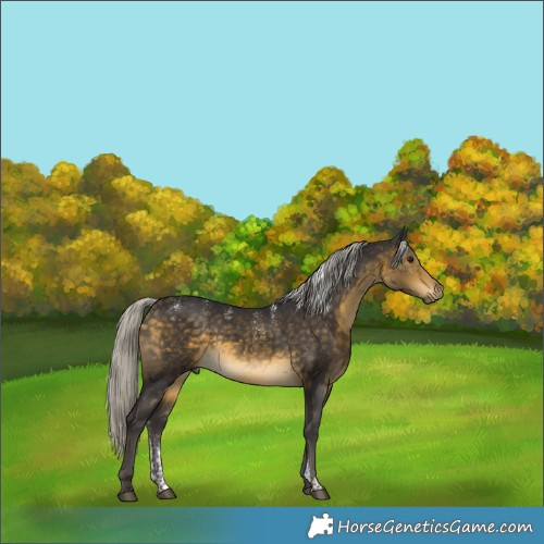 Horse Color:Powder White Silver Buckskin
