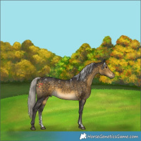 Horse Color:Powder White Silver Buckskin 