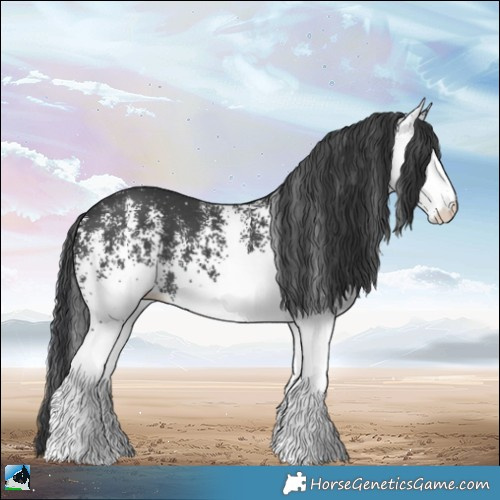 Horse Color:White Spotted Black 