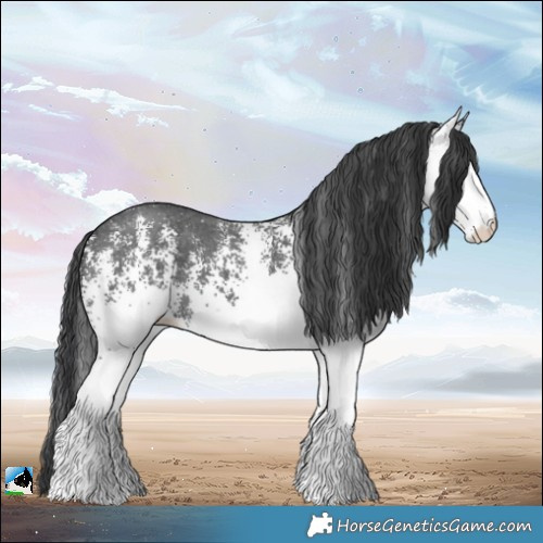 Horse Color:White Spotted Black 